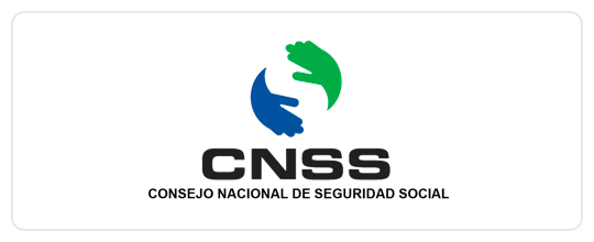 Consejo Nacional de la Seguridad Social, (CNSS)