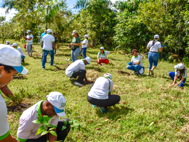 DGJP realiza jornada de reforestación