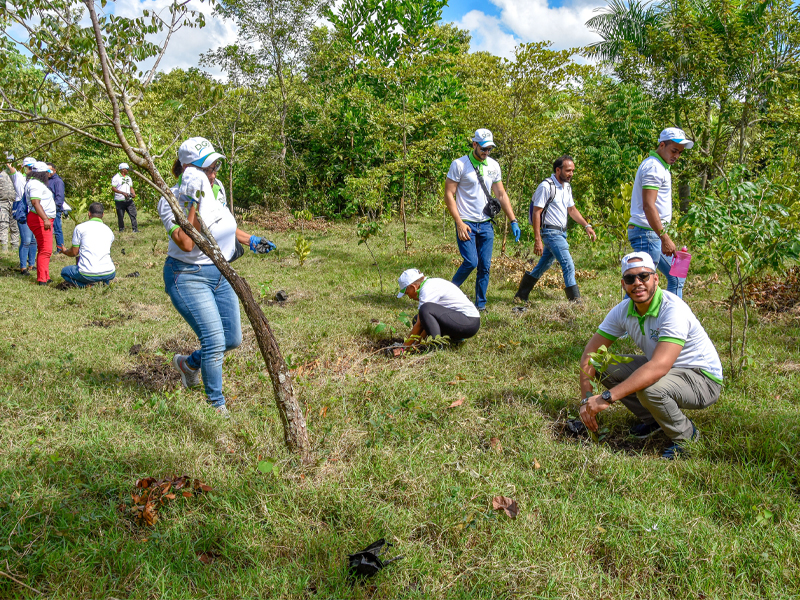 DGJP realiza jornada de reforestación