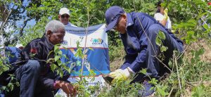 El director general de Jubilaciones y Pensiones, licenciado Juan Rosa, encabezó una Jornada de Reforestación junto a decenas de colaboradores de la institución, en el municipio Maimón, de la provincia Monseñor Nouel, en donde fueron sembradas más de mil plantas de diferentes especies.