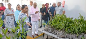 La Dirección General de Jubilaciones y Pensiones, en coordinación con el Ministerio de Medio Ambiente, realizó una jornada de donación de árboles para incentivar a los colaboradores a contribuir con la protección del entorno.
