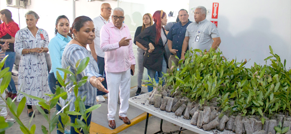 La Dirección General de Jubilaciones y Pensiones, en coordinación con el Ministerio de Medio Ambiente, realizó una jornada de donación de árboles para incentivar a los colaboradores a contribuir con la protección del entorno.