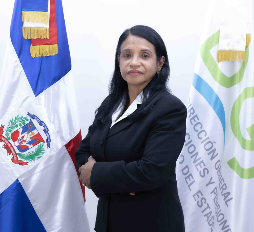 Encargado División de Litigios